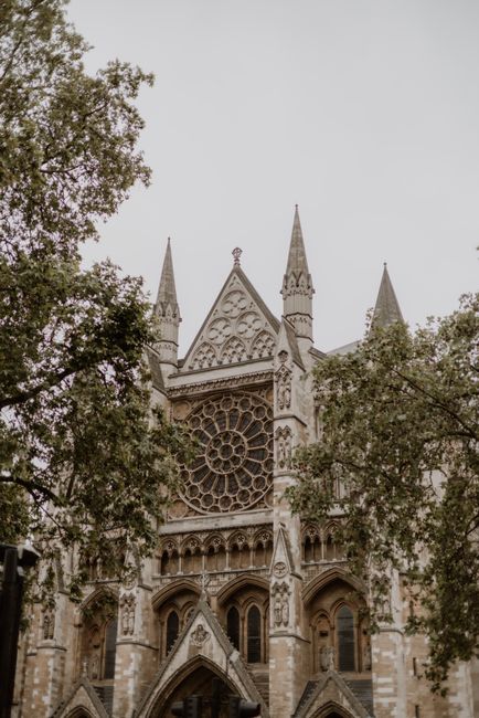 A detailed view of the facade of a Gothic-style cathedral, featuring ornate stone carvings, pointed arches, and three prominent spires set against a pale, overcast sky. The building's exterior is constructed from light-colored stone with weathered textures, and a large, intricate rose window with circular tracery dominates the central part of the front elevation. The cathedral is partially framed by leafy green trees in the foreground, their branches extending across the scene and softening the architectural lines. The scene appears to be outdoors near the building, and the natural light diffuses evenly across the stone surface, highlighting the craftsmanship of the detailed stonework. The image suggests an environment where historic architecture might be subject to maintenance or clearance projects, and the presence of mature trees indicates an urban setting with landscaped surroundings that could require routine rubbish or debris removal. This contextual setting aligns with the services provided by Waste Removal Westminster, offering solutions for on-site clearance or private waste disposal involving historical structures and their immediate environment.