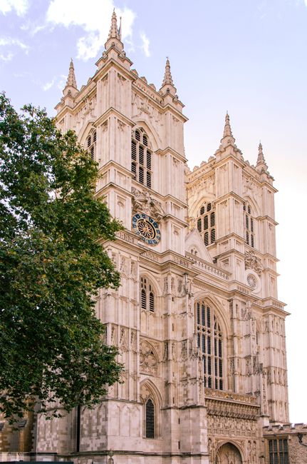 A detailed view of the facade of a Gothic-style cathedral, featuring ornate stone carvings, pointed arches, and three prominent spires set against a pale, overcast sky. The building's exterior is constructed from light-colored stone with weathered textures, and a large, intricate rose window with circular tracery dominates the central part of the front elevation. The cathedral is partially framed by leafy green trees in the foreground, their branches extending across the scene and softening the architectural lines. The scene appears to be outdoors near the building, and the natural light diffuses evenly across the stone surface, highlighting the craftsmanship of the detailed stonework. The image suggests an environment where historic architecture might be subject to maintenance or clearance projects, and the presence of mature trees indicates an urban setting with landscaped surroundings that could require routine rubbish or debris removal. This contextual setting aligns with the services provided by Waste Removal Westminster, offering solutions for on-site clearance or private waste disposal involving historical structures and their immediate environment.